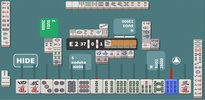 R Mahjong screenshot 3