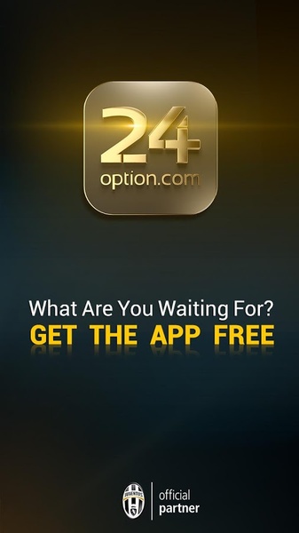 24option - Preview 8