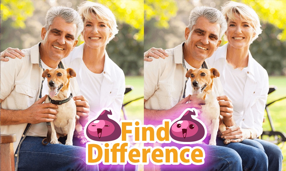 Find Difference 26 - Preview 2