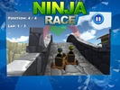 Ninja Race screenshot 2