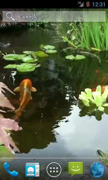 Japanese Koi Fish - Preview 5