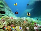 Colorful Fishes Live Wallpaper screenshot 3