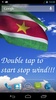 Suriname Flag screenshot 4