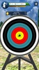 Archery Shoot screenshot 3