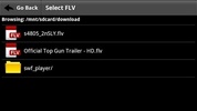 FLV Video Player screenshot 1