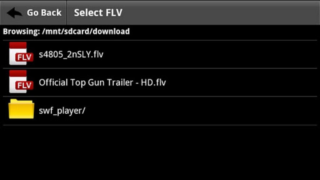 FLV Video Player - Preview 1