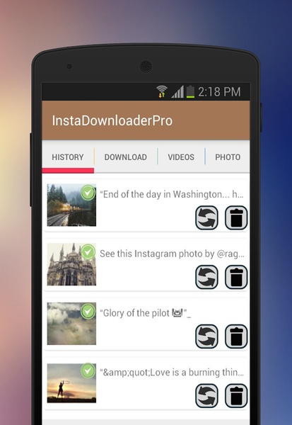 InstaDownloader - Preview 1
