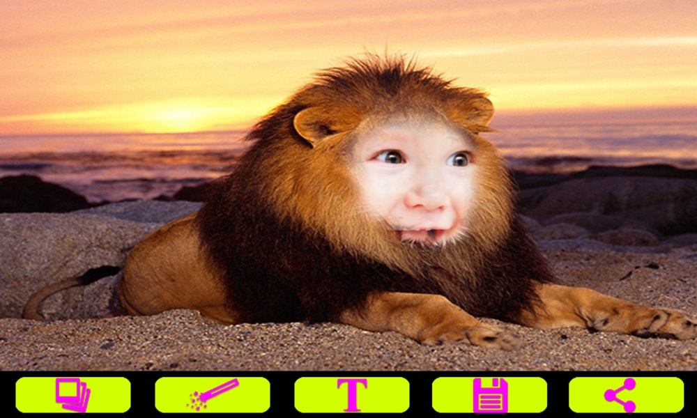Lion Photo Frames - Preview 5