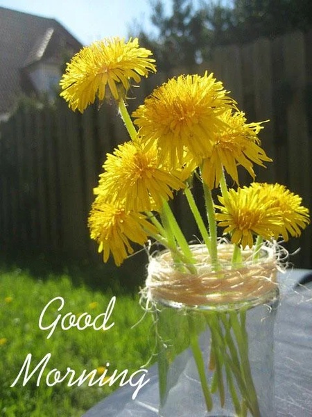 Good Morning Images - Preview 5