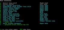 Dwarf Fortress screenshot 2