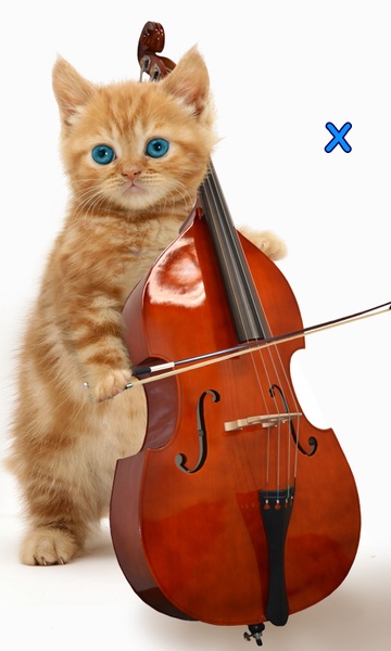 Talking, Dancing Cat. - Preview 4