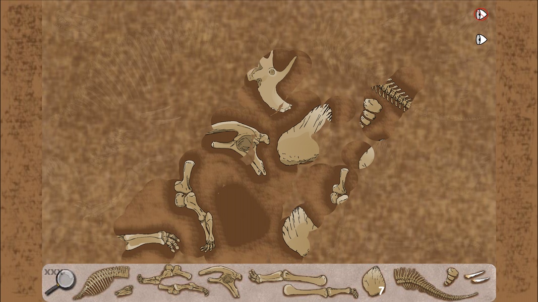 Dinosaur Excavation - Preview 6