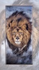 lion wallpaper screenshot 8