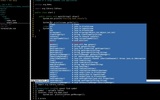 Terminal IDE screenshot 7