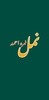 Namal Urdu Novel screenshot 6