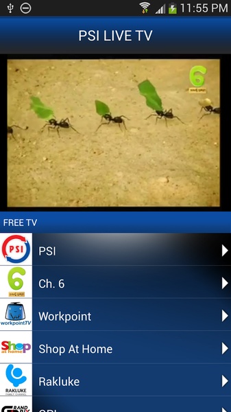 PSI TV - Preview 2
