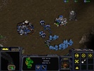 Starcraft screenshot 4