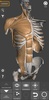 3D Anatomy for the Artist screenshot 18