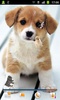 Puppies Live Wallpaper screenshot 2