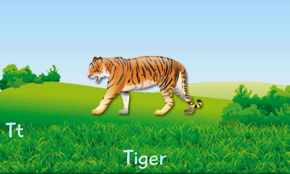 Audio Zoo - Preview 4