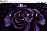 SSuite NetSurfer Portable screenshot 10