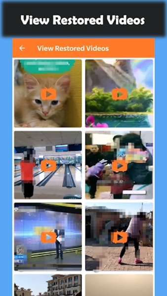 Deleted Video Recovery - Preview 2