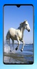 Horse Wallpaper 4K screenshot 6