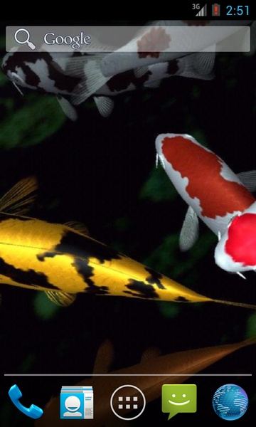 Magic touch: Koi Fish - Preview 3