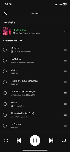 Spotify - Preview 22