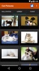 Cat Pictures screenshot 3