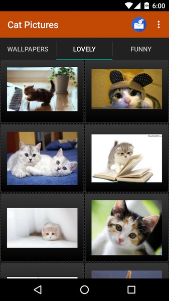 Cat Pictures - Preview 3