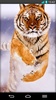 Tiger Live Wallpaper screenshot 1