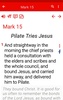 Study Bible commentary offline screenshot 8