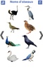 تعليم أسماء الطيور باللغة الفرنسية screenshot 8