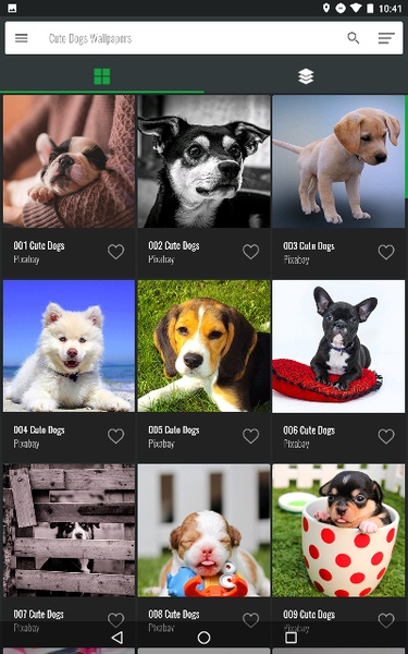 Cute Dogs Wallpapers - Preview 11