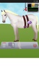 Horse Pregnancy 2 screenshot 3