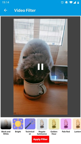 Video Utility - Preview 8