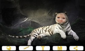 Tiger Photo Frames screenshot 1