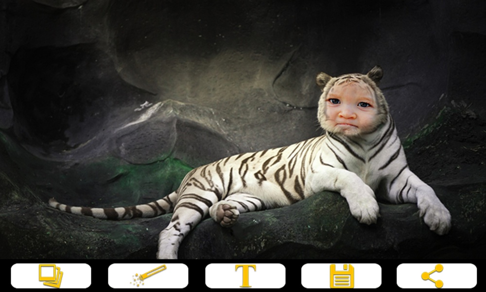 Tiger Photo Frames - Preview 1