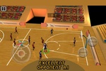 Real 3D Basketball : Full Game screenshot 1