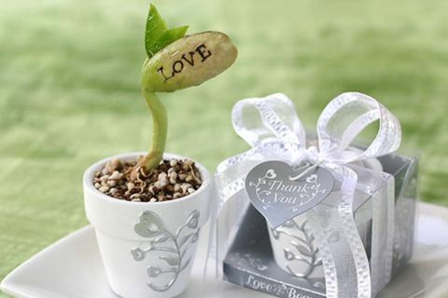 Wedding Favor Ideas - Preview 7