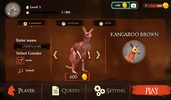 The Kangaroo screenshot 11