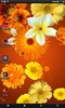 Flowers wallpaper screenshot 5