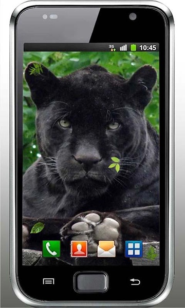 Pantera Sounds live wallpaper - Preview 2