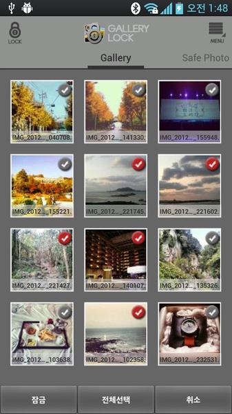 Safe Gallery Free (Media Lock) - Preview 6