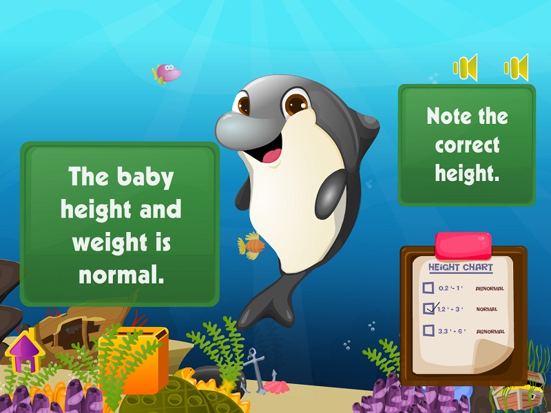 Dolphin Baby Birth - Preview 3