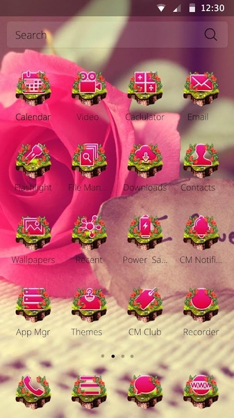 CM Launcher Roses - Preview 2
