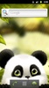 Panda Chub Live Wallpaper Free screenshot 2
