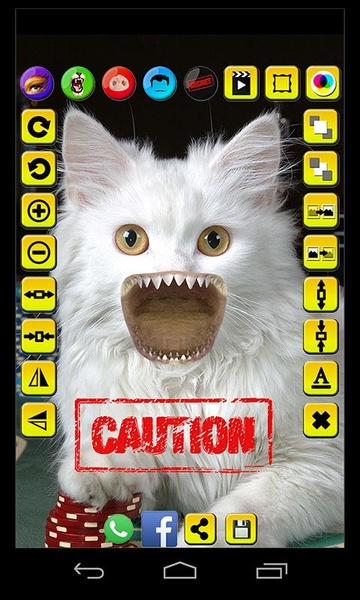 Face Fun - Photo Collage Maker 5 - Preview 8