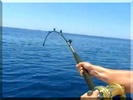 Fish Fishing ! screenshot 4